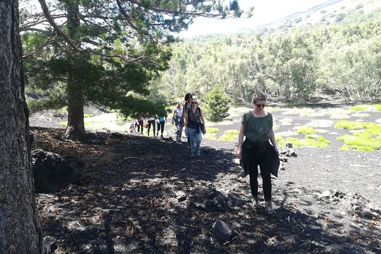 Tour image 5