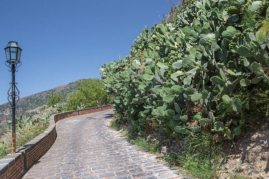 Tour image 2