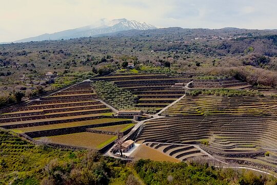 Tour image 10